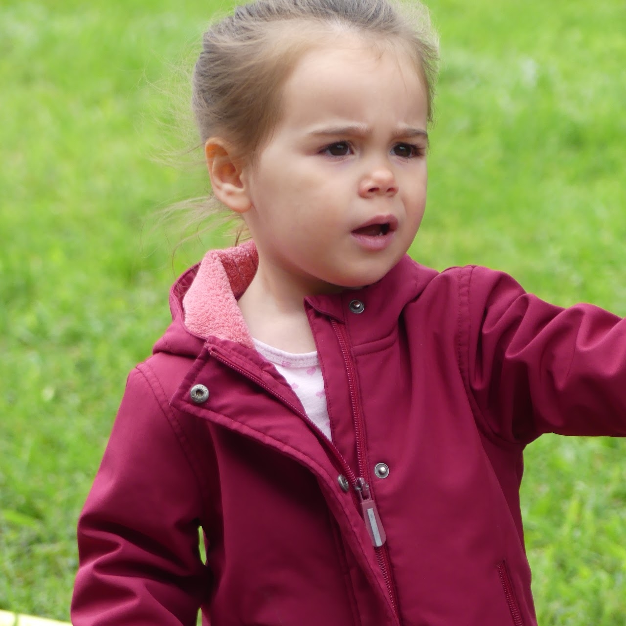 Bild vom 13. Benefizlauf im Jahr 2022. Dies ist das 25. Bild.